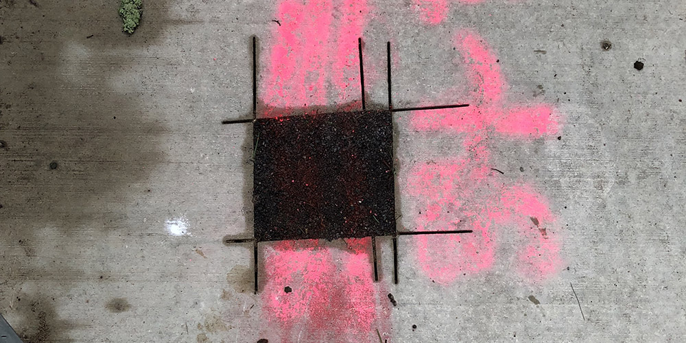 Cras mattis consectetur purus