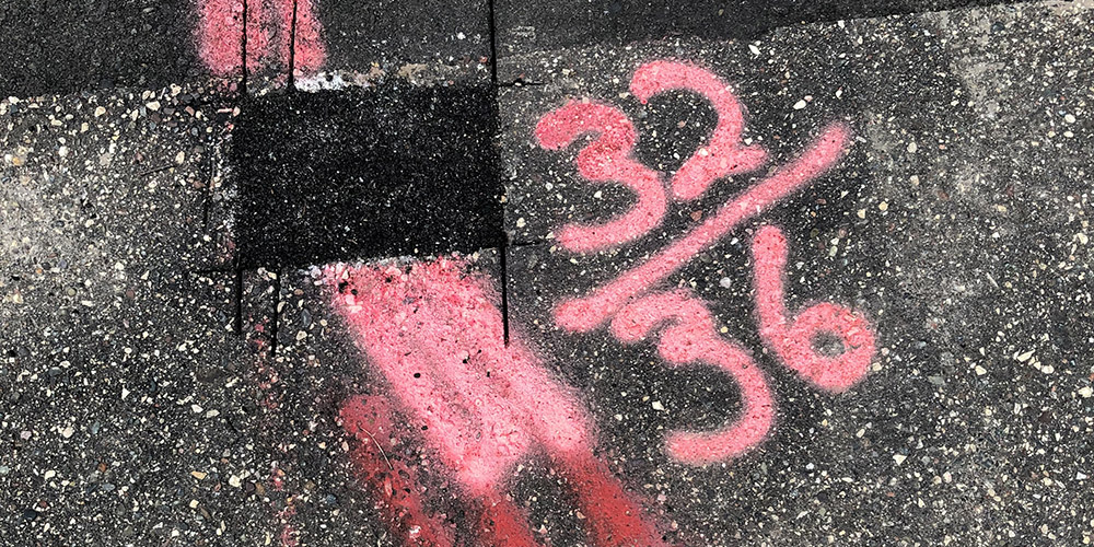 Etiam porta sem malesuada magna mollis euismod.